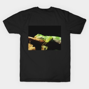 Iguana Take A Nap T-Shirt